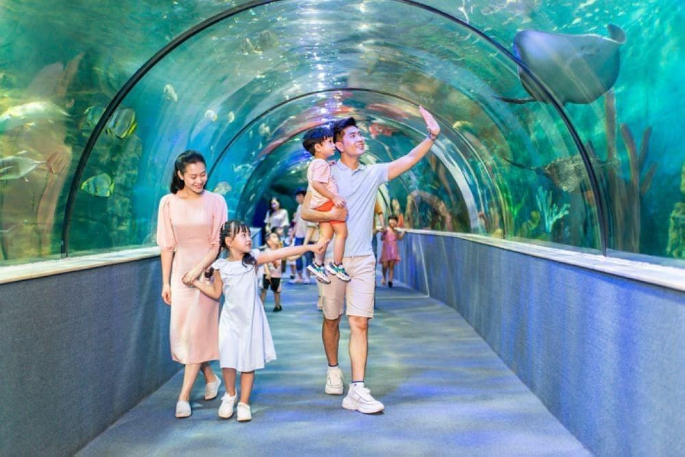 Thủy cung Vinpearl Aquarium (Nguồn: Vinpearl)